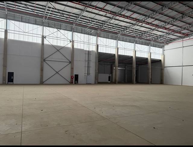 5,367M² WAREHOUSE TO LET IN CORNUBIA